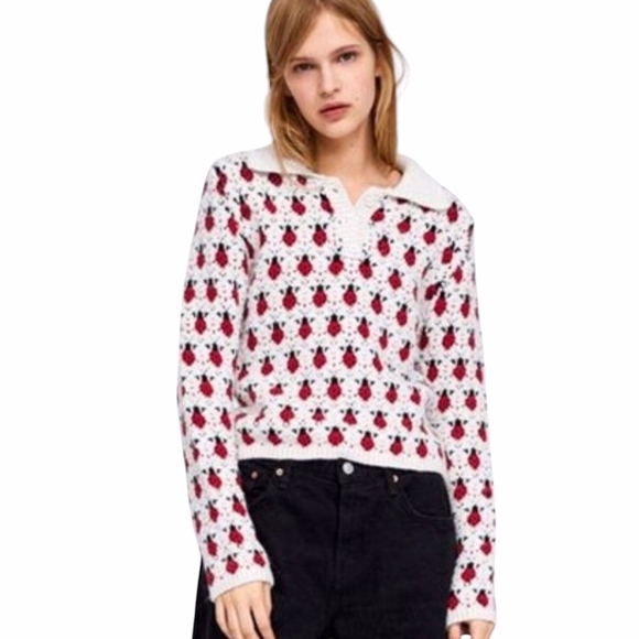 Zara Knit Lady Bug Collared Sweater - Picture 2 of 6